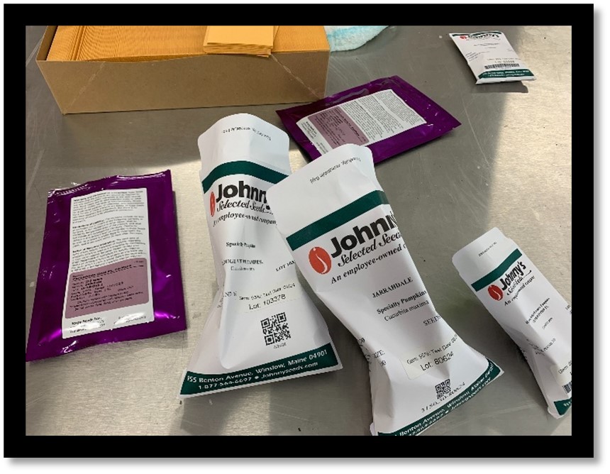 Figure 2. Seeds were sorted into smaller coin envelopes based upon how many seeds were requested by county ag agents. These seeds were sent to agents via the county dispatch service. Photo by Ryan Keiffer.