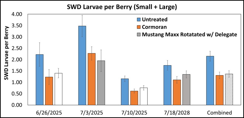 Figure 1. Spotted-wing drosophila insecticide efficacy trial completed in 2025 comparing the number of small and large spotted-wing drosophila (SWD) larvae found in berries from plots untreated, sprayed with Cormoran weekly (a non-registered pesticide for blackberry) or a standard rotation of Mustang Maxx and Delegate.