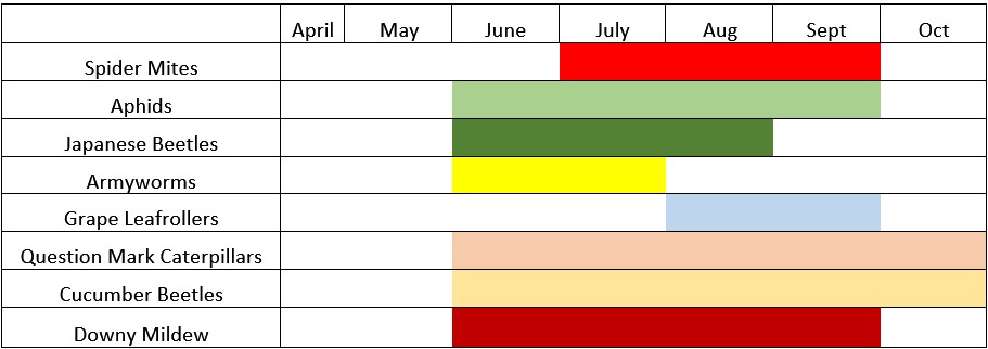 A timetable showing the different hops pests found between April and October