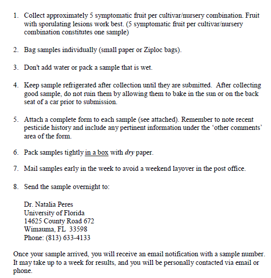 Sampling protocol for strawberries with symptoms of anthracnose