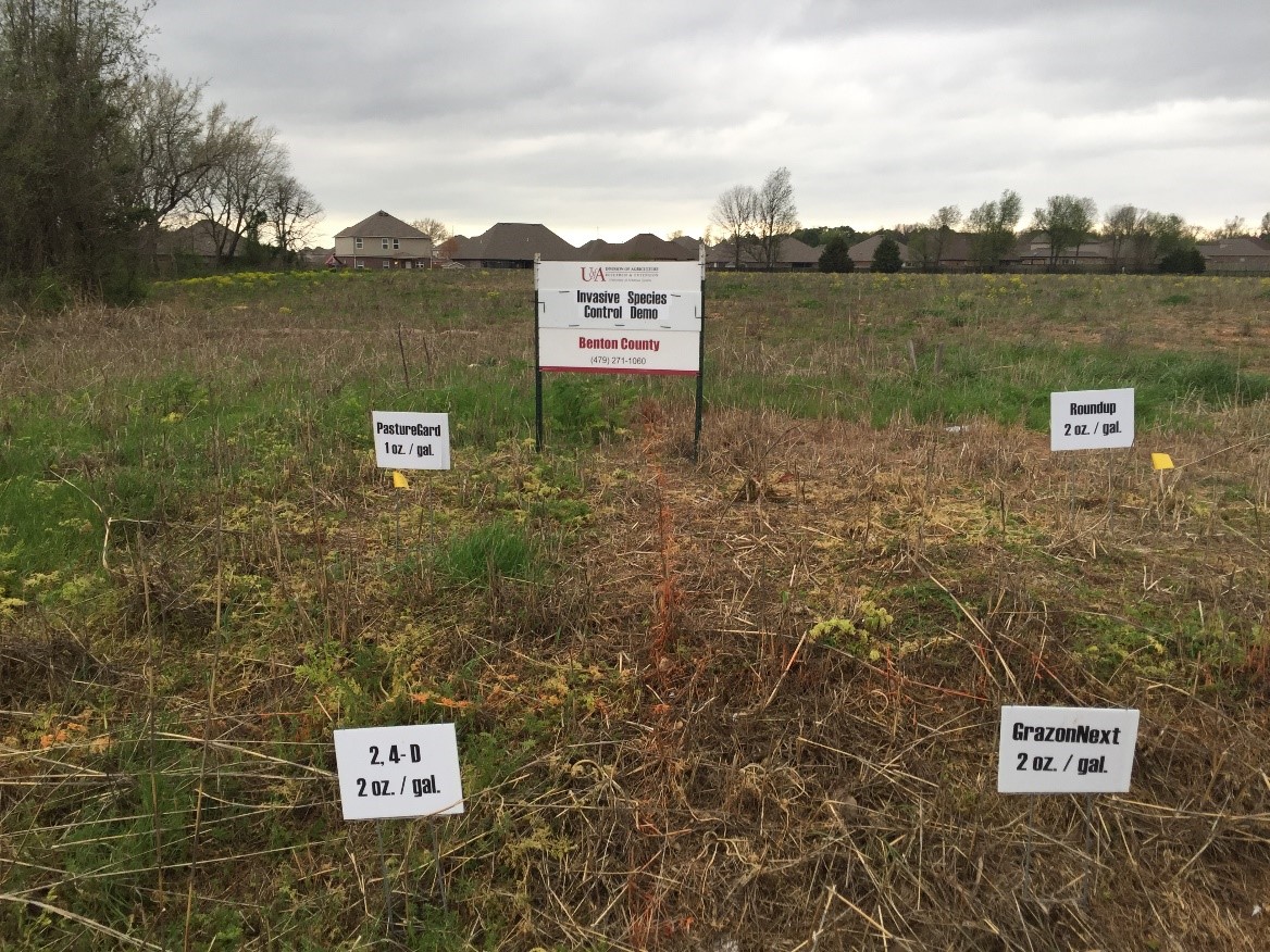 Photo of a spot spray trial in the field divided up into four plots, each labeled depending on treatment and amount, with a University of Arkansas Division of Agriculture sign in the background; some plots have more plant growth than others