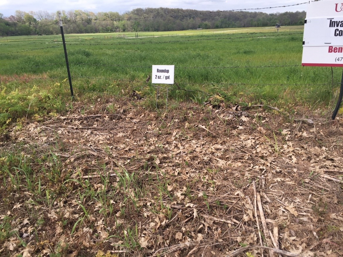 Photo of a barbed wire fence with a large bare spot underneath where herbicide had been applied surrounded by large patches of grass