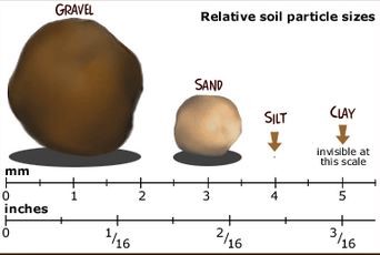 Image shows sizes of different soil particles