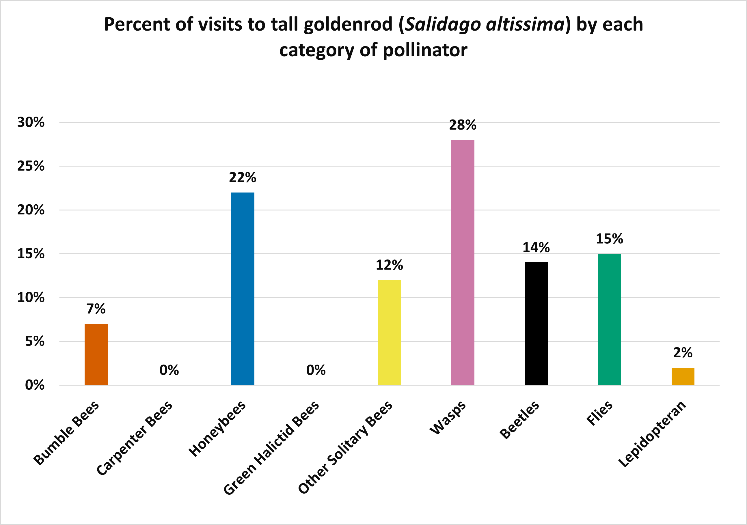 The bar graph above shows that honeybees (22%) and wasps (28%) had the highest percentage of visits while carpenter and green halictid bees had the lowest at 0% each.