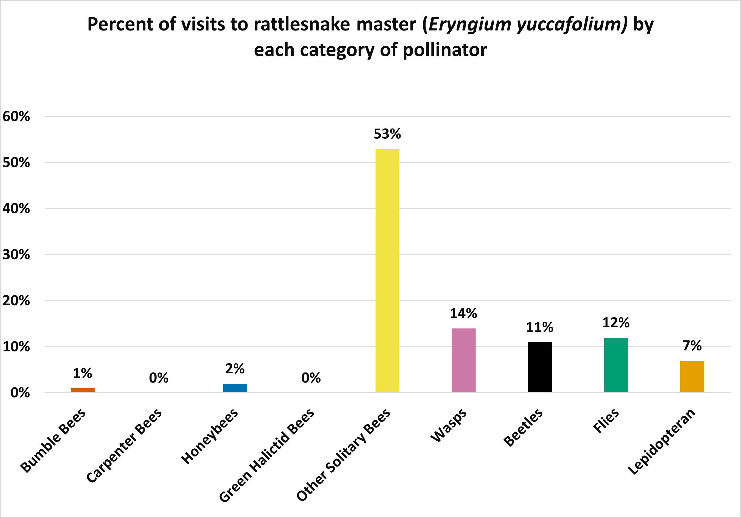 The bar graph above shows that other solitary bees (53%) had the highest percentage of visits while carpenter and green halictid bees had the lowest at 0% each.
