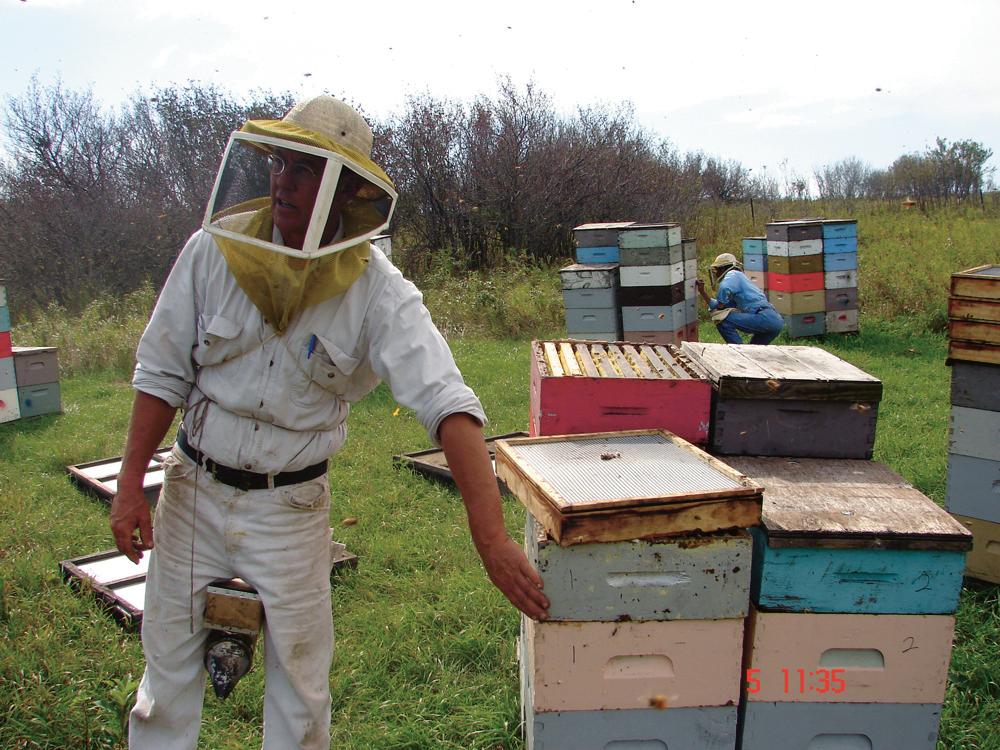 Man in a bee suit tending to his beehives with a man checking on beehives in the background