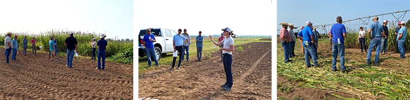 Three photos of a woman in a white shirt talking in front of a group of people at a farm