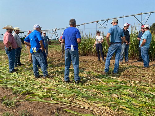 Amanda McWhirt speaking to a group of county agents at a SARE cover crop training last September.