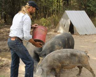 Jeremy Prater feeding some pigs