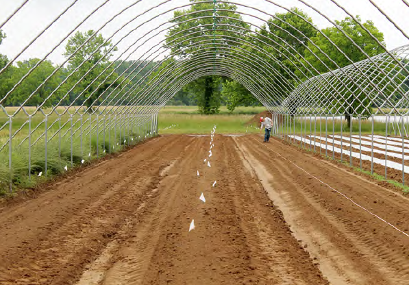 Photo of bareground underneath the skeleton of a high tunnel, consisting of the metal frame but without the plastic.