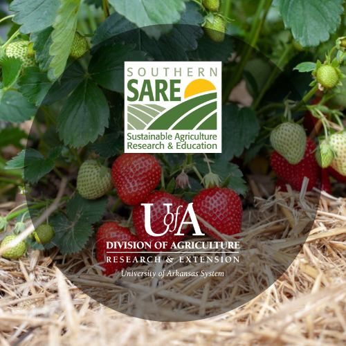 Southern SARE and University of Arkansas System Division of Agriculture logos