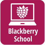 Arkansas Blackberry School Icon