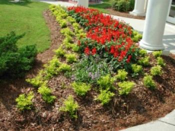 ornamental flower bed ornamental flower bed