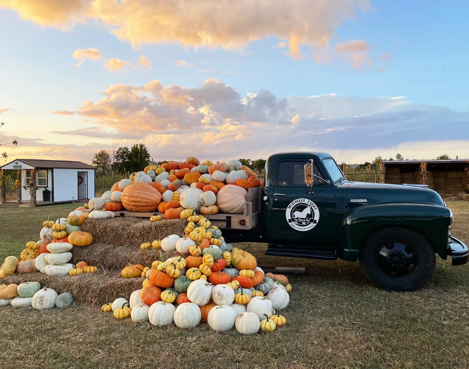 Farm truck parked with a variety of pumpkins stacked in the bed and on the ground