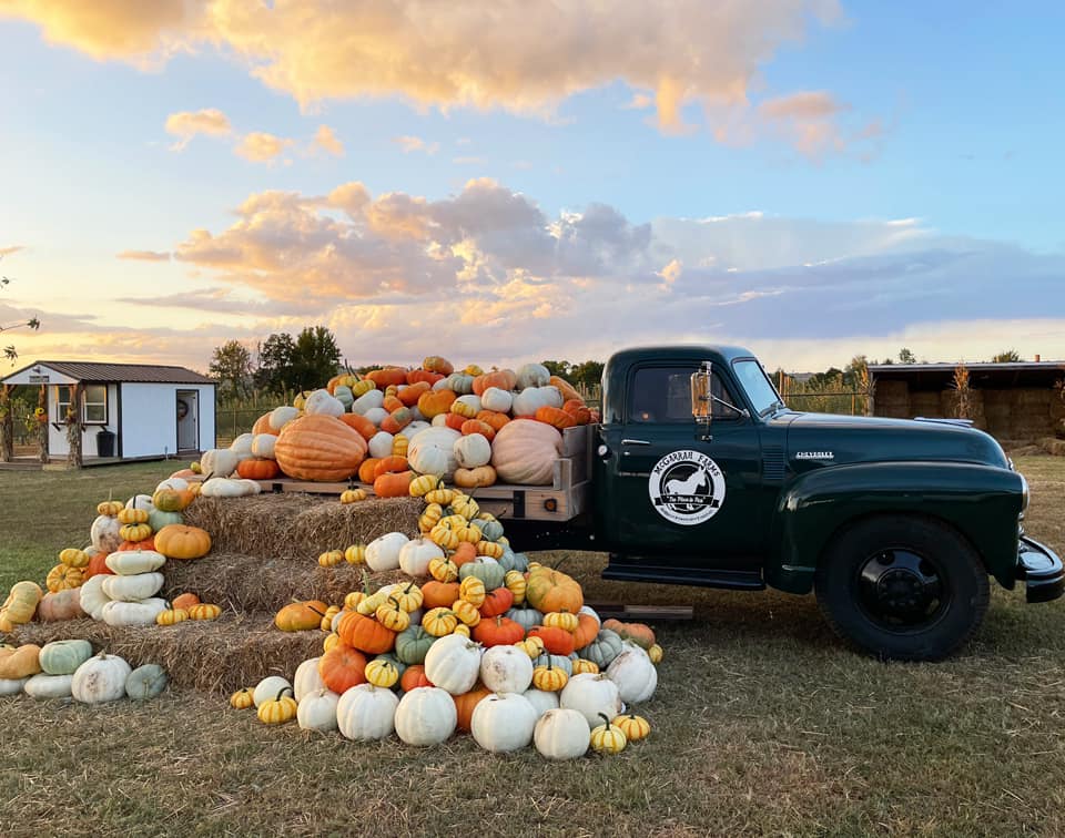 Farm truck parked with a variety of pumpkins stacked in the bed and on the ground Farm truck parked with a variety of pumpkins stacked in the bed and on the ground