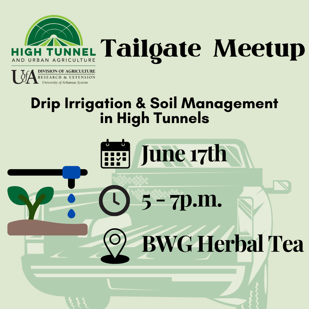 6.17 Meetup in Cassacoe to discuss drip irrigation