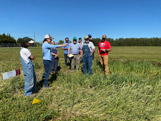 Soil health workshop attendees standing in cover crop demo plots that had been roller crimped