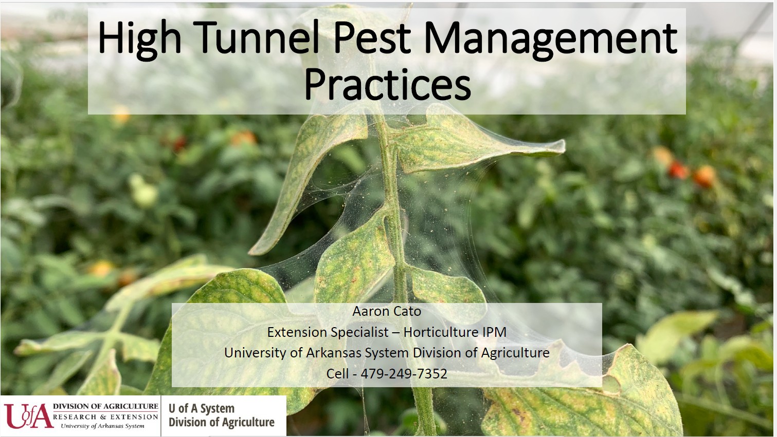 Slides for High Tunnel IPM Presentation 