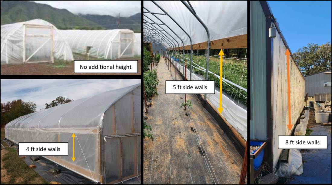 High tunnels with different sidewall heights.