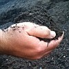 Compost - life of the soil [Photo courtesy U.S. Composting Council]