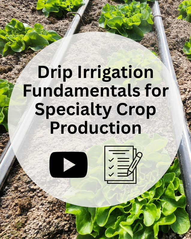 Drip Irrigation Fundamentals