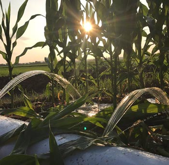 Agricultural Water