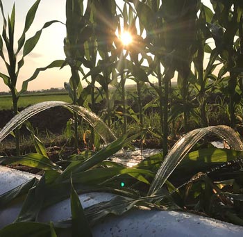 Agricultural Water