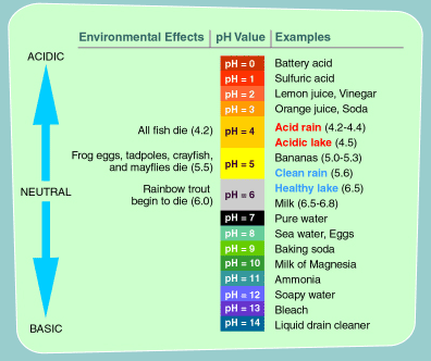 pH Scale | EPA