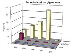Bar chart showing Shoot Height for Sequoiadendron giganteum. Link to larger picture. Select back button to return.