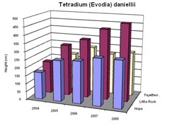 Bar chart showing Shoot Height for Tetradium (Evodia) daniellii. Link to larger picture. Select back button to return.