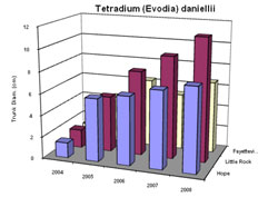 Bar chart showing Trunk Diameter for Tetradium (Evodia) daniellii. Link to larger picture. Select back button to return.