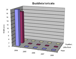 Bar chart showing Shoot Width for Buddleia loricata. Link to larger picture. Select back button to return.