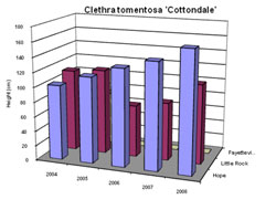 Bar chart showing Shoot Height for Clethra tomentosa 'Cottondale'. Link to larger picture. Select back button to return.