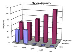 Bar chart showing Shoot Height for Cleyera japonica. Link to larger picture. Select back button to return.