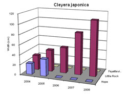 Bar chart showing Shoot Width for Cleyera japonica. Link to larger picture. Select back button to return.