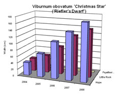 Bar chart showing Shoot Width for Viburnum obovatum 'Christmas Star'. Link to larger picture. Select back button to return.