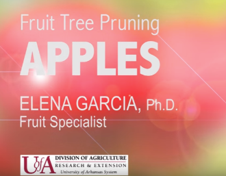 Fruit Tree Pruning APPLES Elena Garcia Ph.D Fruit specialist