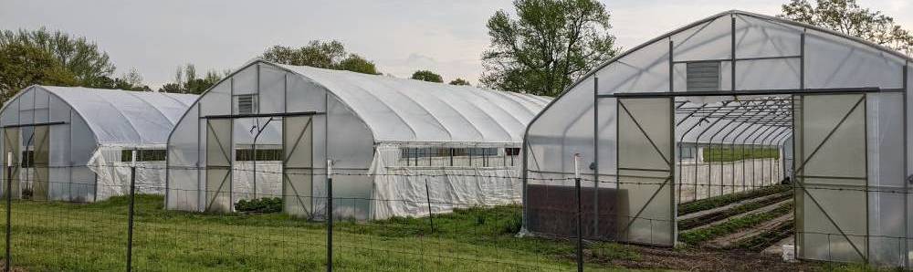 High tunnels in production. Image provided by Katy Brantly. 