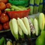 Photo of fresh vegetables including corn, tomatoes at a market 