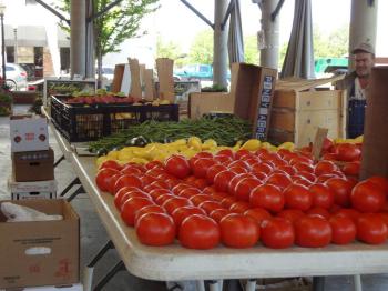 Red tomatoes, yellow squash and okra on a table.