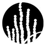 palmer amaranth support tool logo