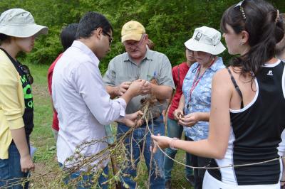 Terry Kirkpatrick teaching plant disease class | The Learning Farm | Arkansas Extension