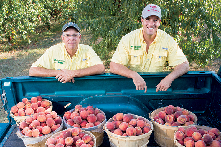 Two mean wearing yellow button up shirts standing behind a truck bed filled with baskets of peaches