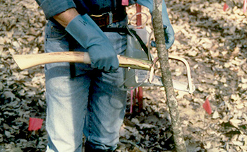 photo of a man preforming a Herbicide Injection