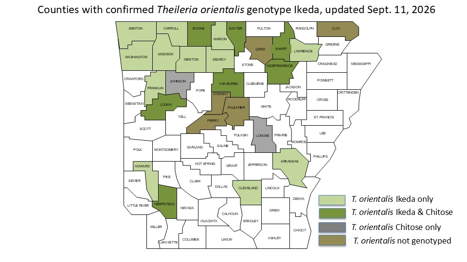 Map of Arkansas counties with theileria