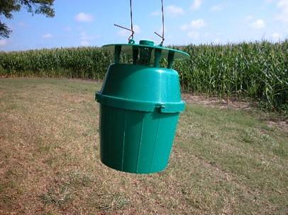 Green bucket trap suspended on a rod with a field of corn in the background (Photo Credit: University of Arkansas Research and Extension)