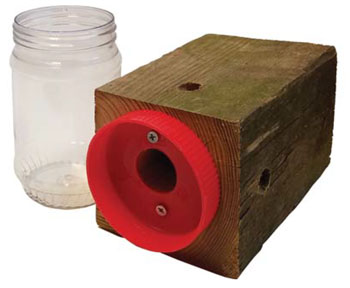 Carpenter Bee Trap with the Clear Jar Detached