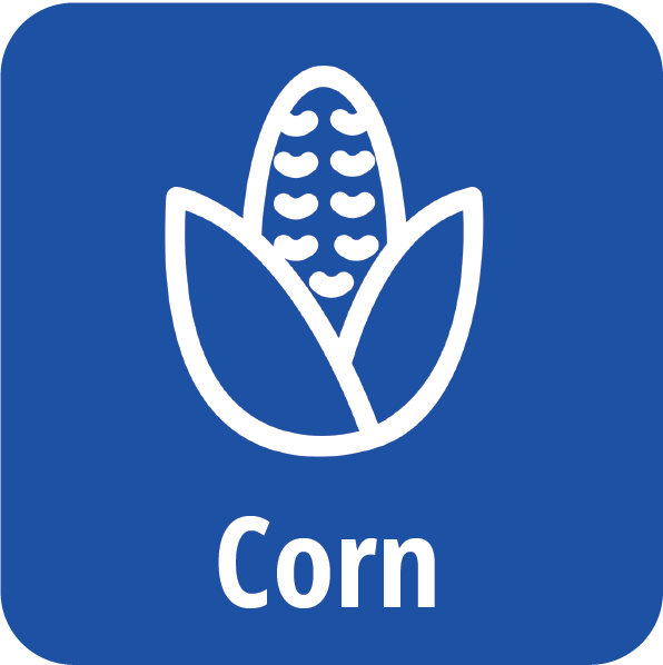 Corn Page Icon