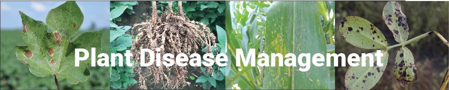 Field Crop Disease Management