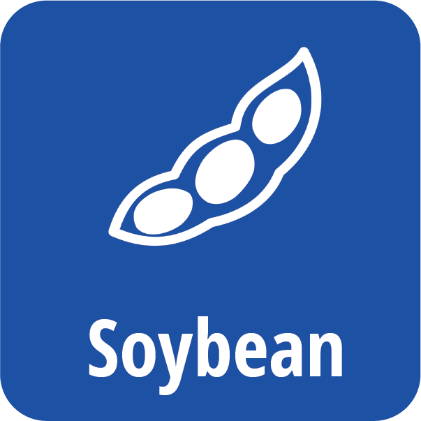 Soybean Page Icon